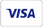 Visa payment icon